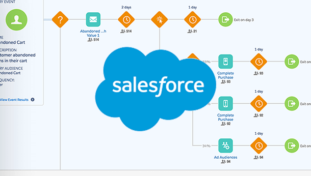 Salesforce導入・活用支援サービス